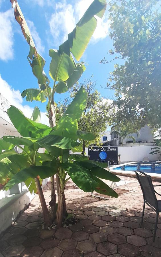 Claro De Luna Playa del Carmen Ngoại thất bức ảnh